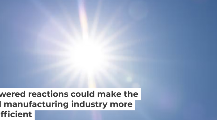 Plants use light to make energy – and a team of scientists is using the same principle to power chemical reactions. fhm/Moment via Getty Images